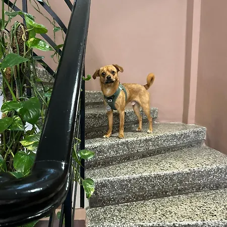 72 Ad Bed and Breakfast Θεσσαλονίκη